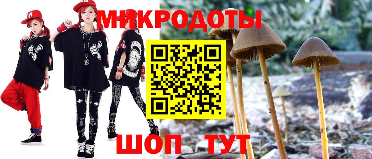 Галлюциногенные грибы Cubensis Советск